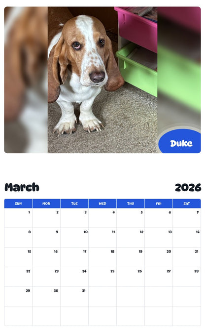 November 2025 - October 2026 Duke - Pawidols Pet Calendar