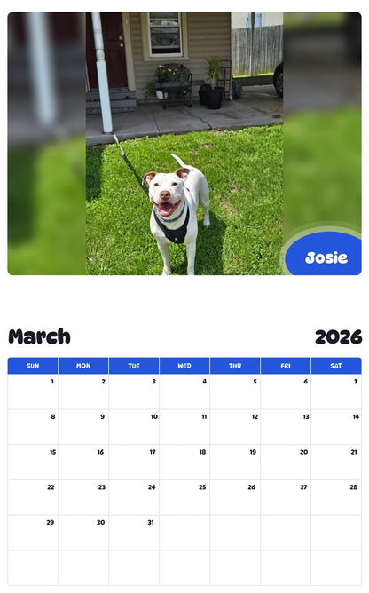 November 2025 - October 2026 Josie - Pawidols Pet Calendar