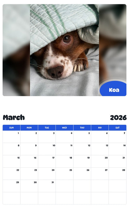 November 2025 - October 2026 Koa - Pawidols Pet Calendar