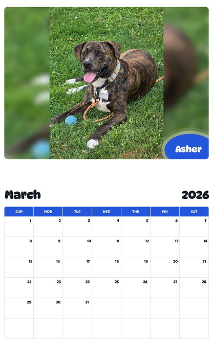 November 2025 - October 2026 Asher - Pawidols Pet Calendar