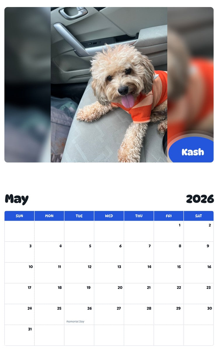 2026 - 2027 Kash - Pawidols Pet Calendar