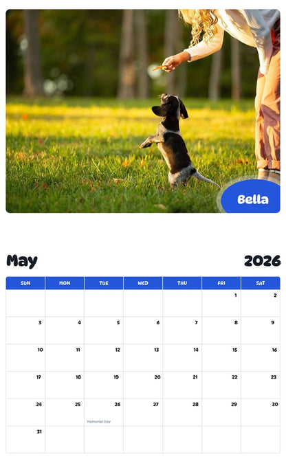 2026 - 2027 Bella - Pawidols Pet Calendar