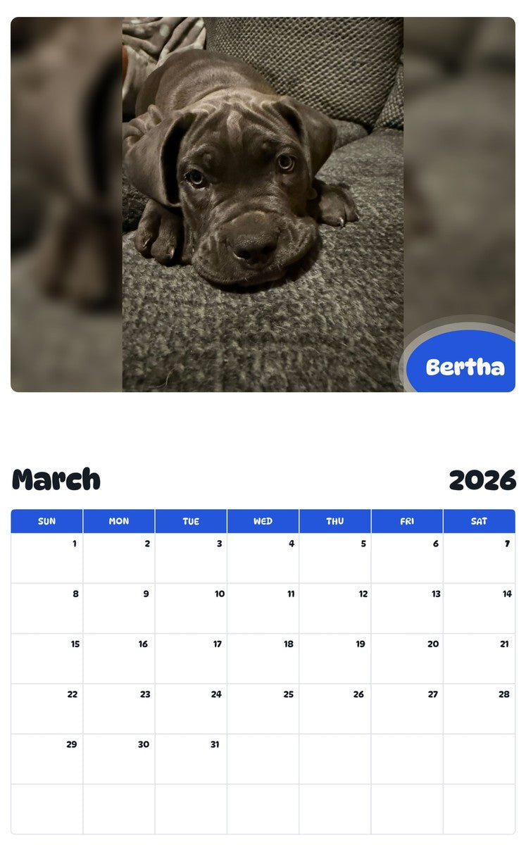 November 2025 - October 2026 Bertha - Pawidols Pet Calendar