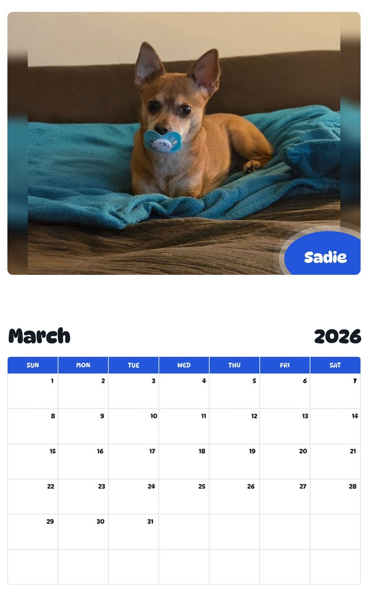 November 2025 - October 2026 Sadie - Pawidols Pet Calendar