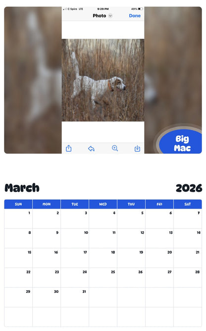 November 2025 - October 2026 Big Mac - Pawidols Pet Calendar
