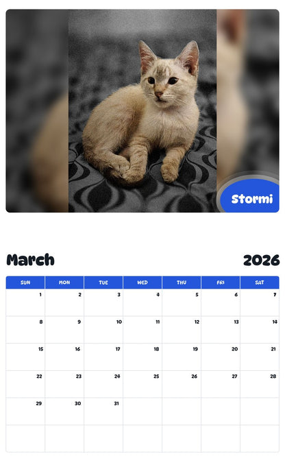 November 2025 - October 2026 Stormi - Pawidols Pet Calendar