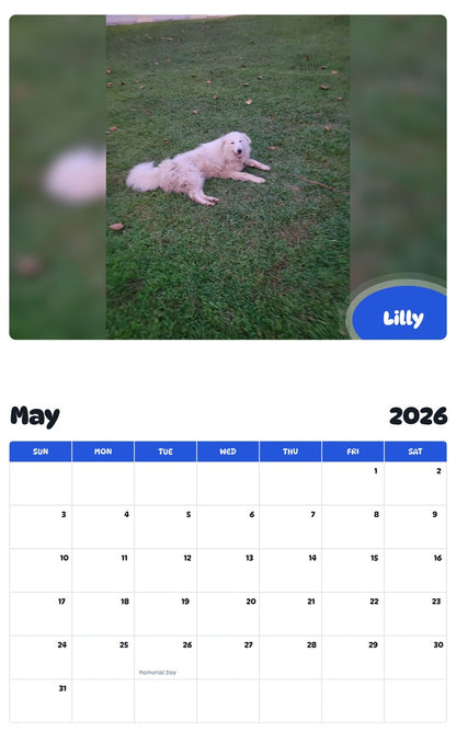 2026 - 2027 Lilly - Pawidols Pet Calendar