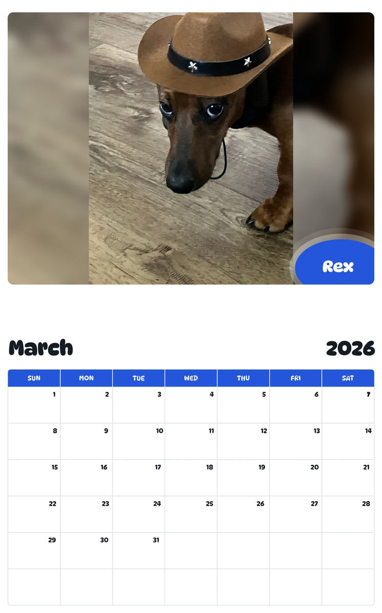 November 2025 - October 2026 Rex - Pawidols Pet Calendar