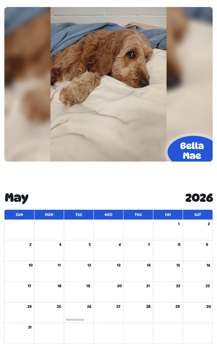 2026 - 2027 Bella Mae - Pawidols Pet Calendar