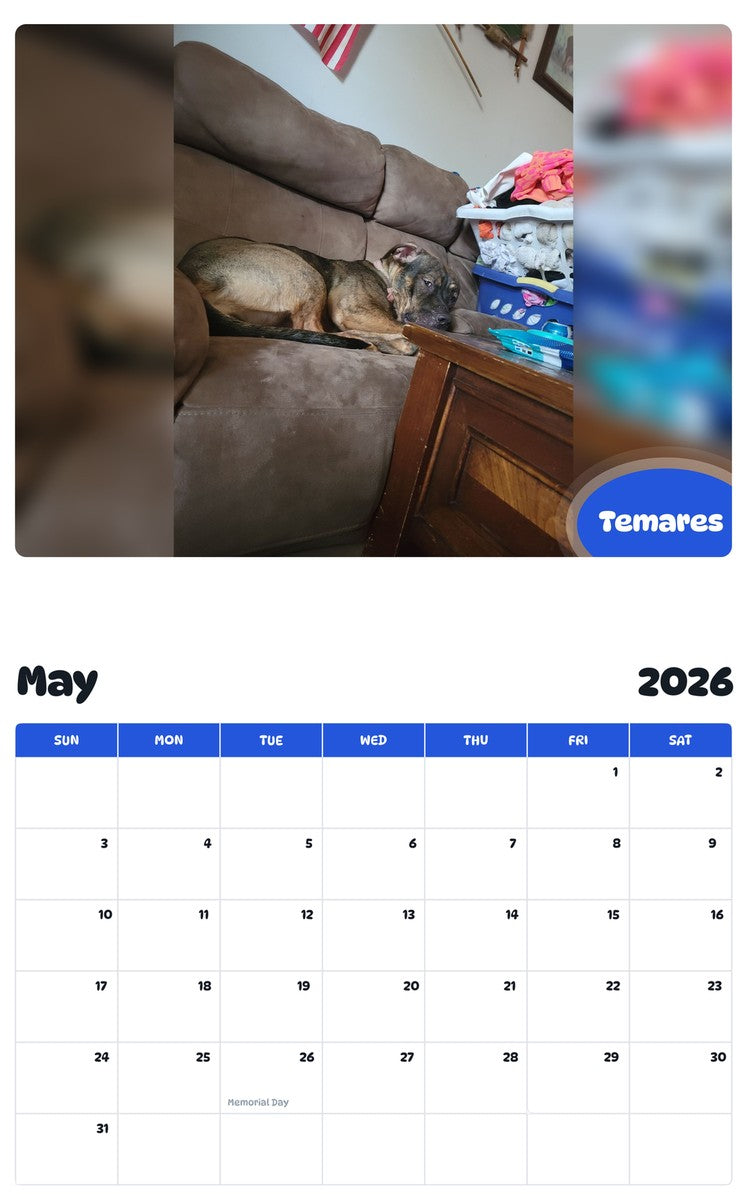 2026 - 2027 Temares - Pawidols Pet Calendar