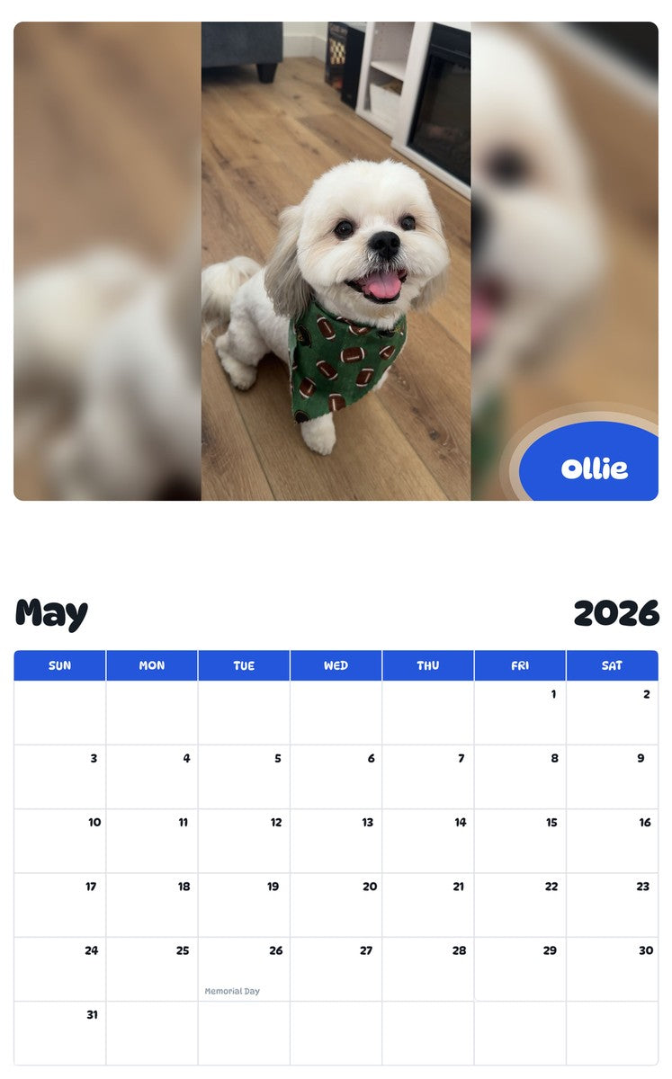 2026 - 2027 Ollie - Pawidols Pet Calendar