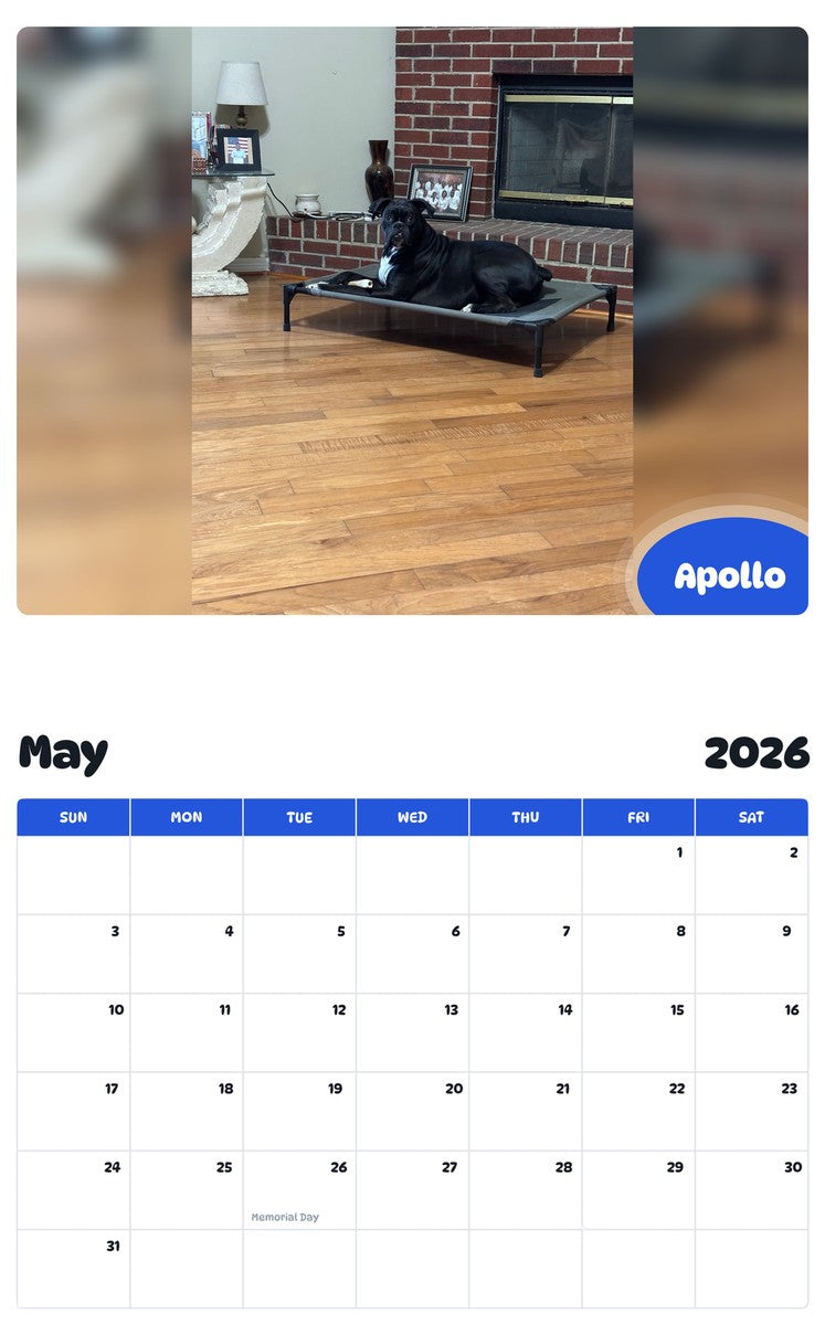 2026 - 2027 Apollo - Pawidols Pet Calendar