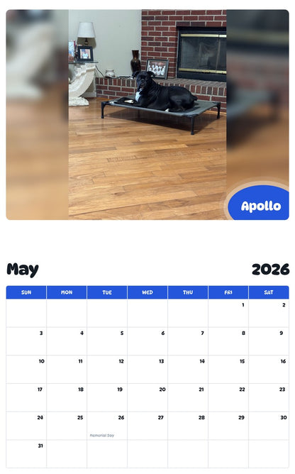 2026 - 2027 Apollo - Pawidols Pet Calendar