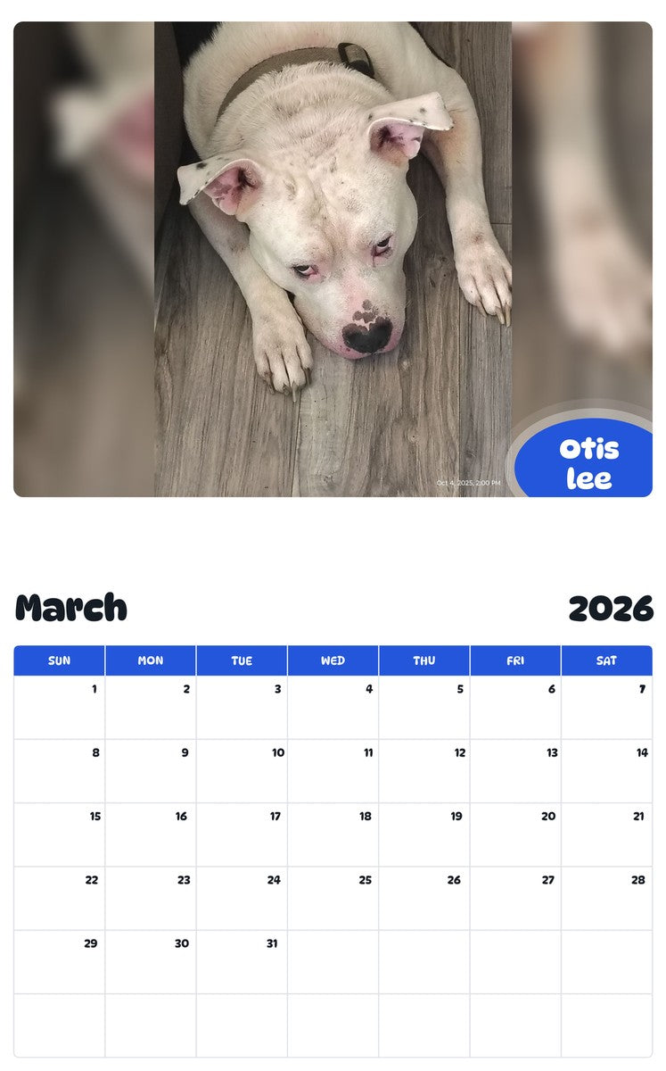November 2025 - October 2026 Otis lee - Pawidols Pet Calendar