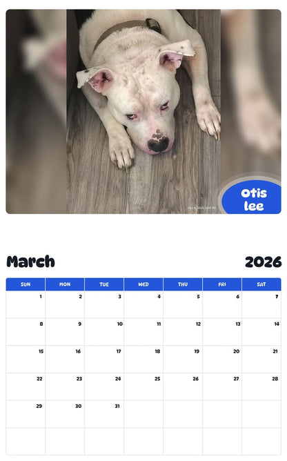 November 2025 - October 2026 Otis lee - Pawidols Pet Calendar