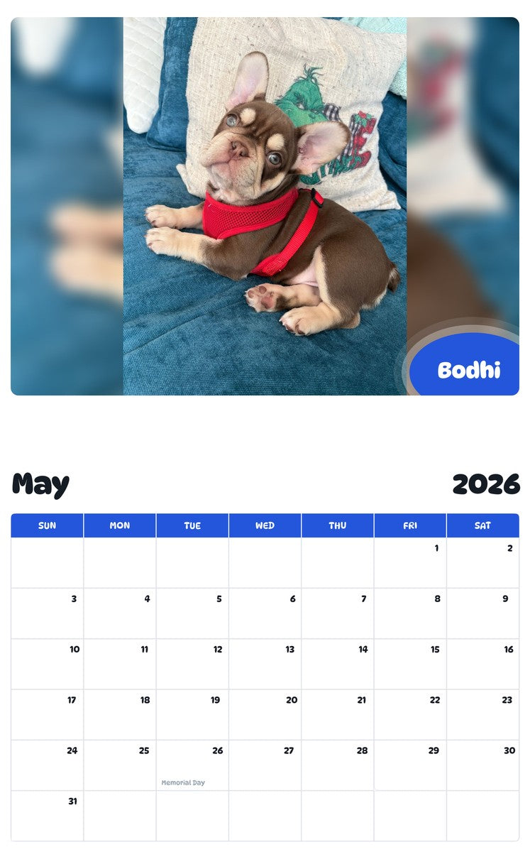 2026 - 2027 Bodhi - Pawidols Pet Calendar