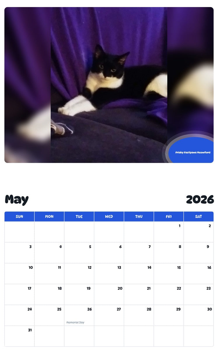 2026 - 2027 Frisky Fastpaws Meowford - Pawidols Pet Calendar