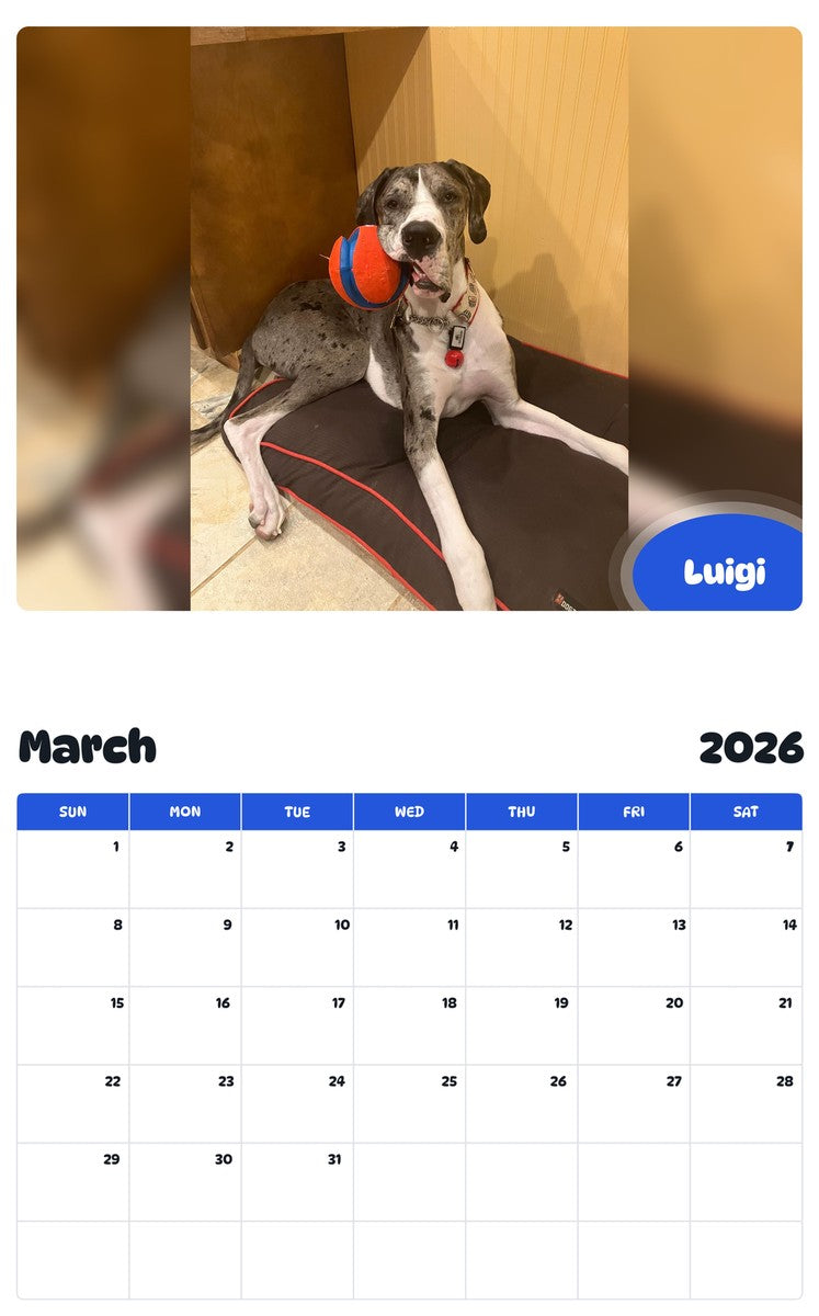 November 2025 - October 2026 Luigi - Pawidols Pet Calendar
