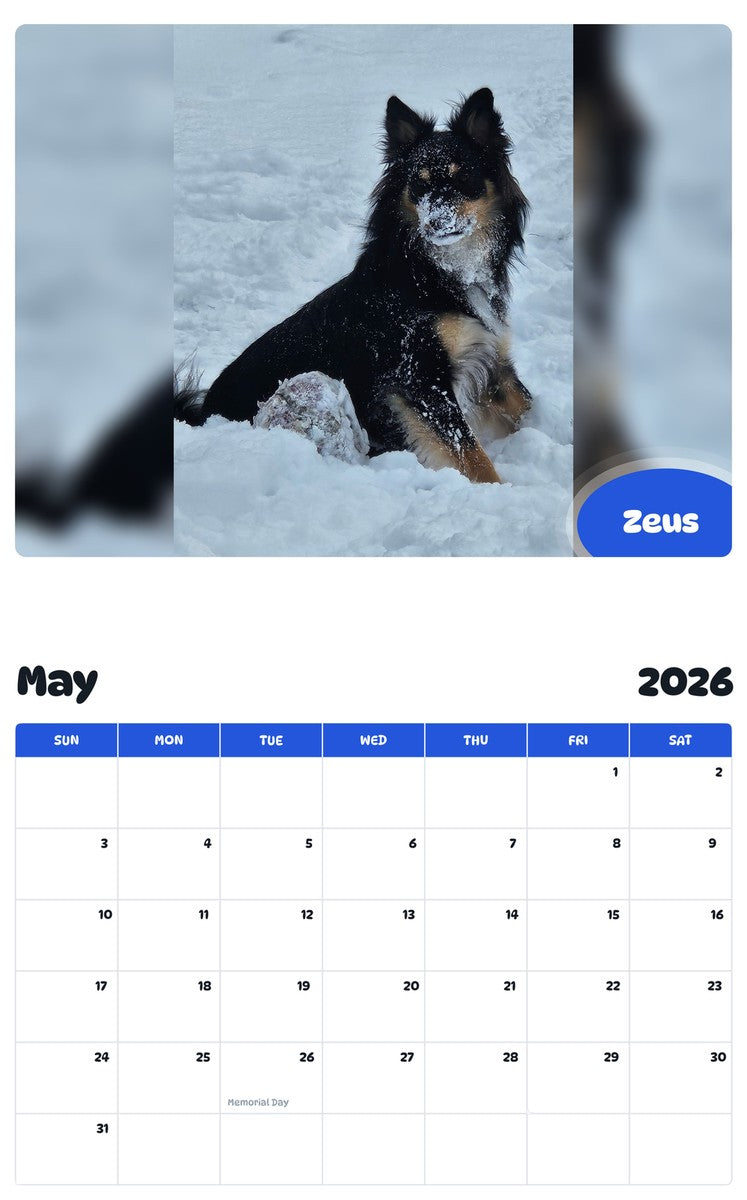 2026 - 2027 Zeus - Pawidols Pet Calendar