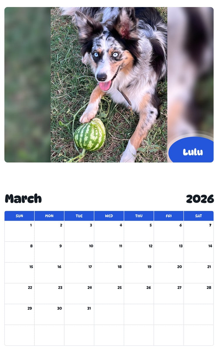November 2025 - October 2026 Lulu - Pawidols Pet Calendar