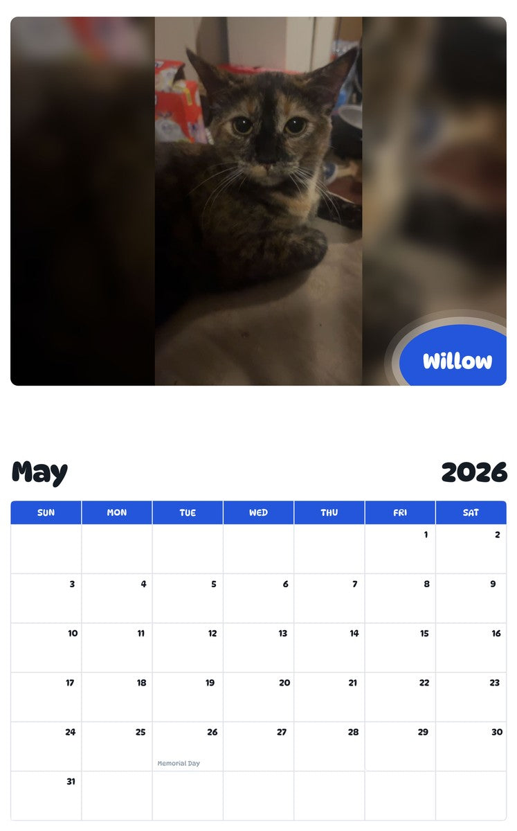 2026 - 2027 Willow - Pawidols Pet Calendar