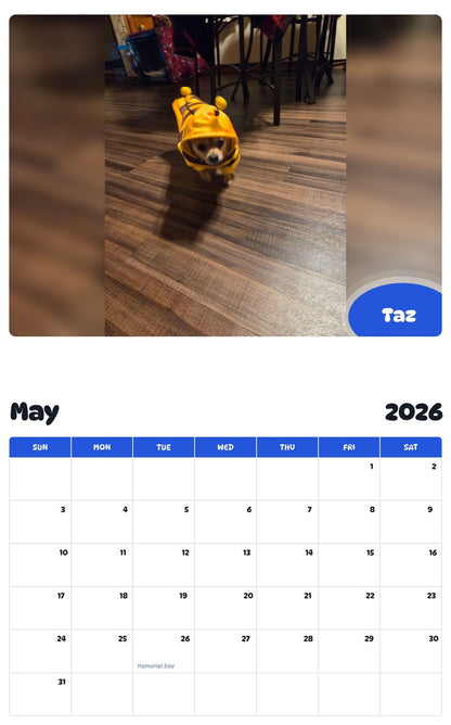 2026 - 2027 Taz - Pawidols Pet Calendar