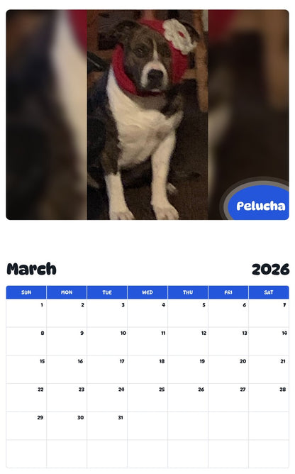 November 2025 - October 2026 Pelucha - Pawidols Pet Calendar