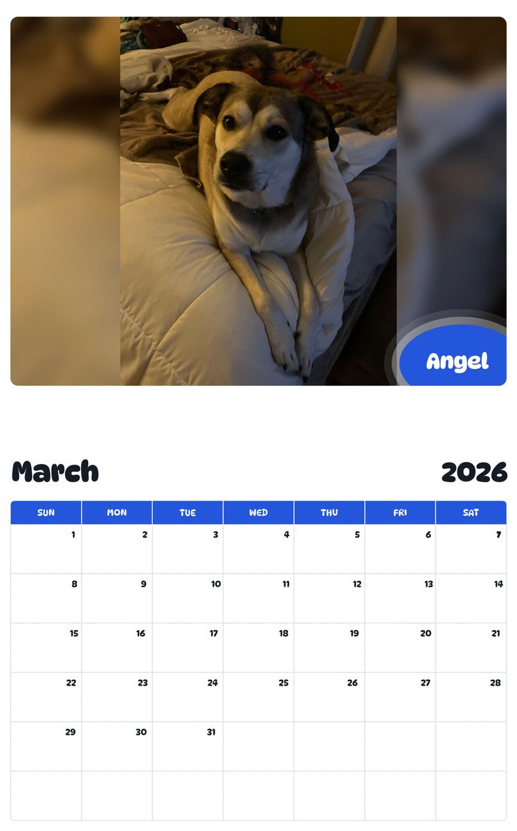 November 2025 - October 2026 Angel - Pawidols Pet Calendar
