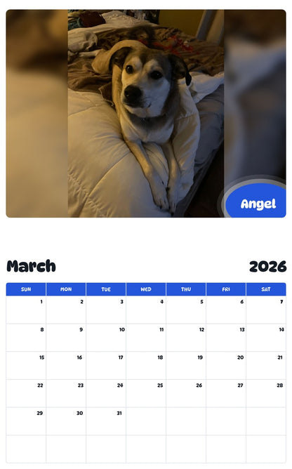 November 2025 - October 2026 Angel - Pawidols Pet Calendar