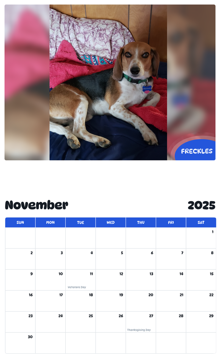 July 2025 - June 2026 Freckles - Pawidols Pet Calendar