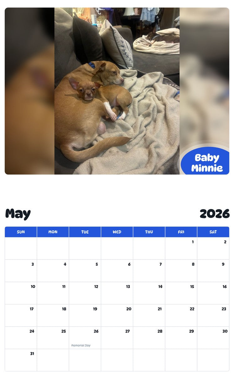 2026 - 2027 Baby Minnie - Pawidols Pet Calendar