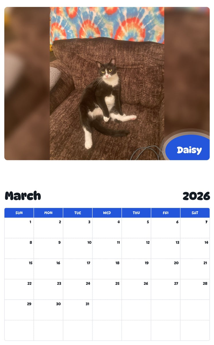November 2025 - October 2026 Daisy - Pawidols Pet Calendar