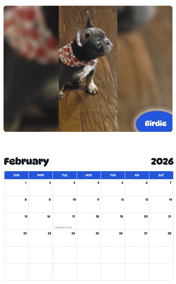 November 2025 - October 2026 Birdie - Pawidols Pet Calendar