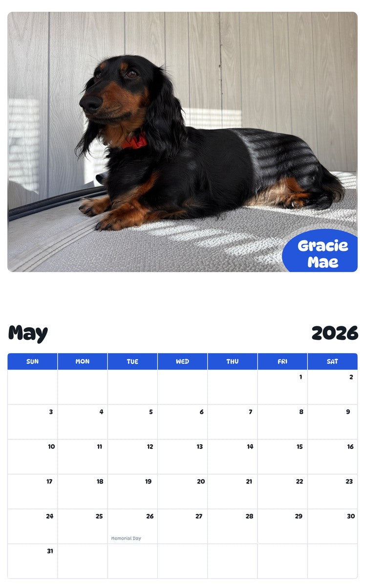 2026 - 2027 Gracie Mae - Pawidols Pet Calendar