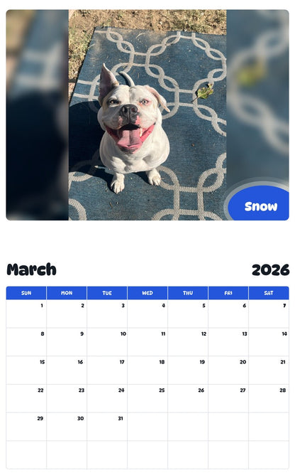 November 2025 - October 2026 Snow - Pawidols Pet Calendar