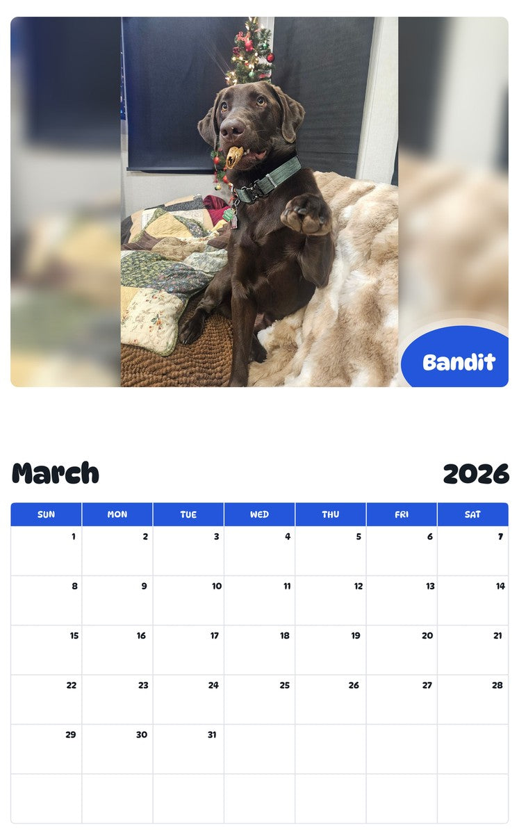 November 2025 - October 2026 Bandit - Pawidols Pet Calendar