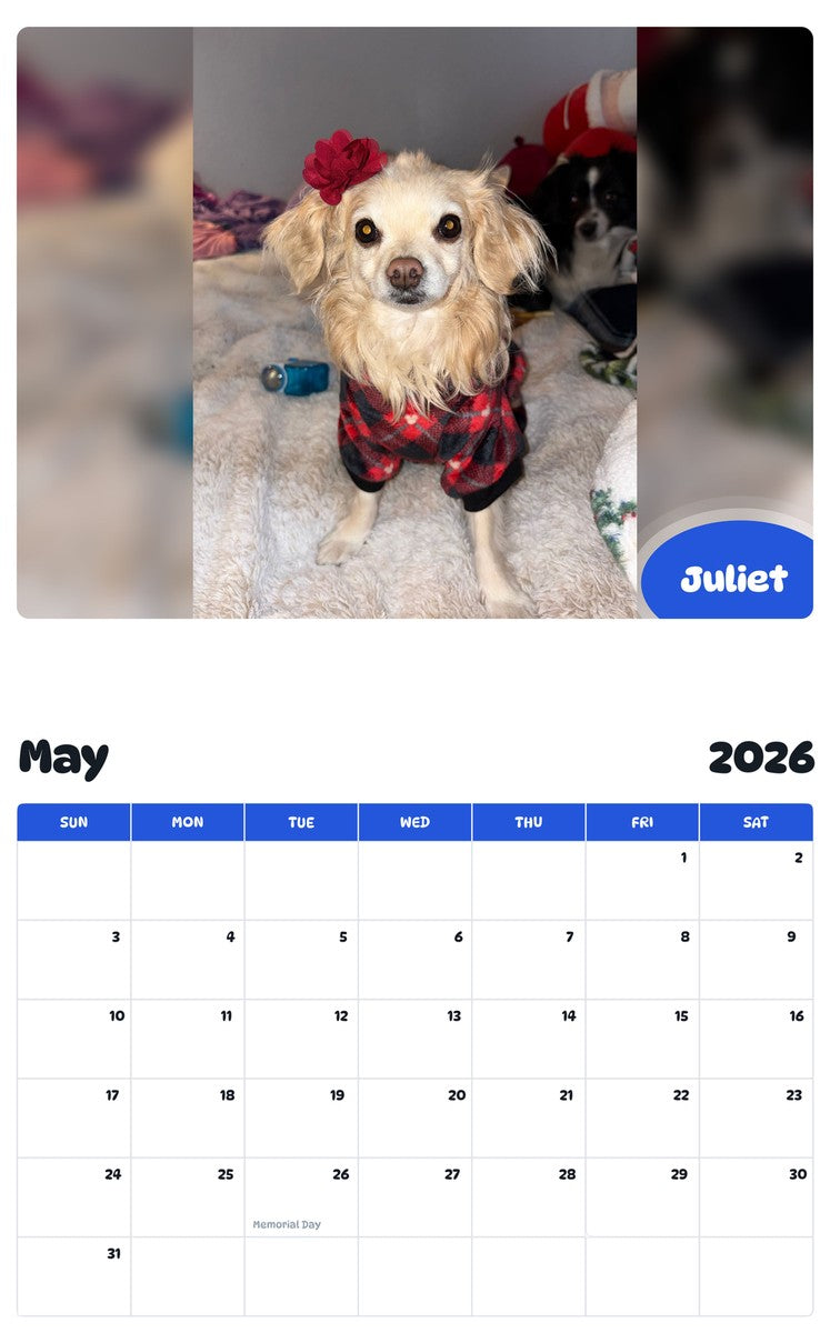 2026 - 2027 Juliet - Pawidols Pet Calendar