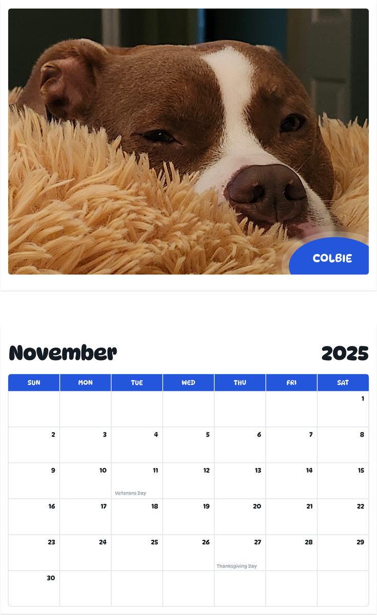 July 2025 - June 2026 Colbie - Pawidols Pet Calendar