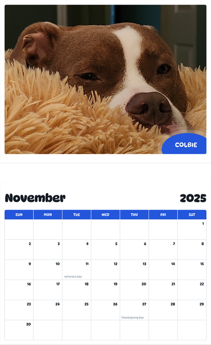 July 2025 - June 2026 Colbie - Pawidols Pet Calendar