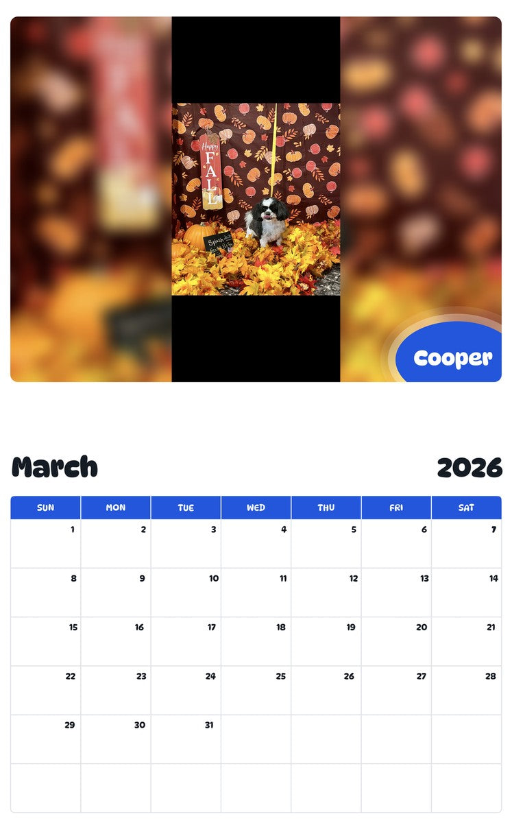 November 2025 - October 2026 Cooper - Pawidols Pet Calendar