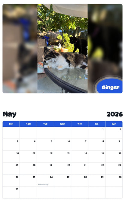 2026 - 2027 Ginger - Pawidols Pet Calendar