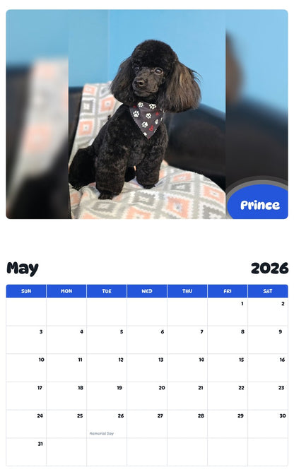 2026 - 2027 Prince - Pawidols Pet Calendar