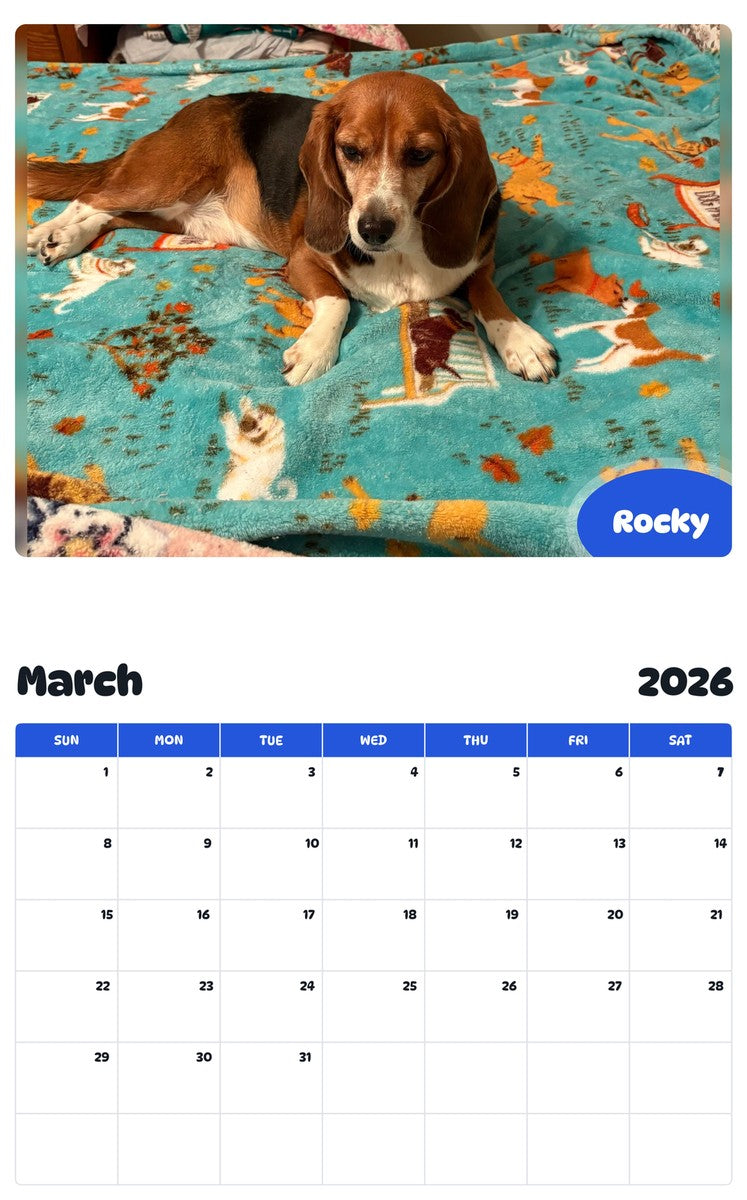 November 2025 - October 2026 Rocky - Pawidols Pet Calendar