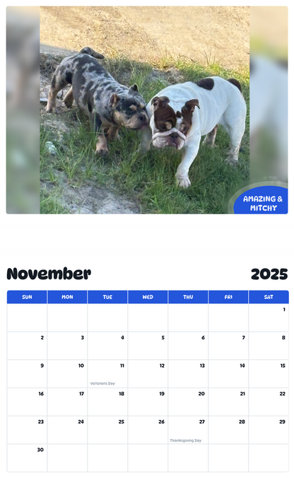 July 2025 - June 2026 Amazing & Mitchy - Pawidols Pet Calendar