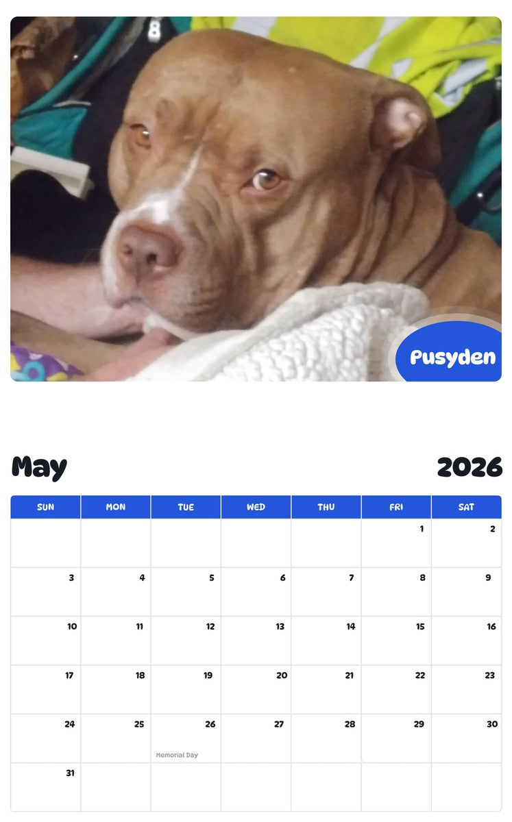 2026 - 2027 Pusyden - Pawidols Pet Calendar