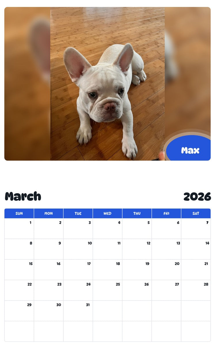 November 2025 - October 2026 Max - Pawidols Pet Calendar