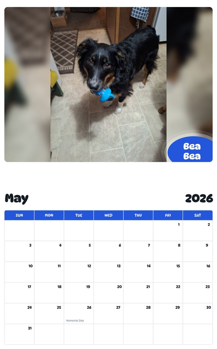 2026 - 2027 Bea Bea - Pawidols Pet Calendar