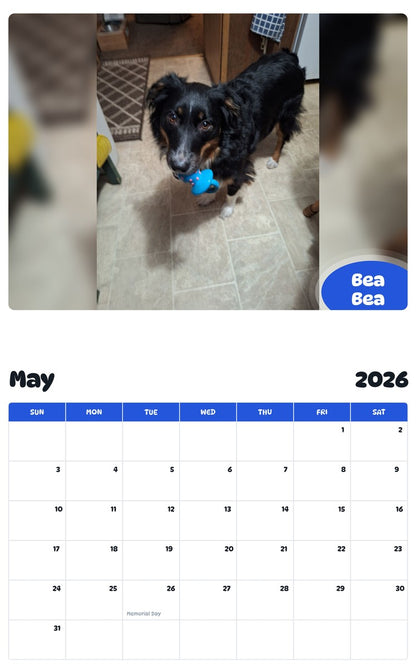 2026 - 2027 Bea Bea - Pawidols Pet Calendar