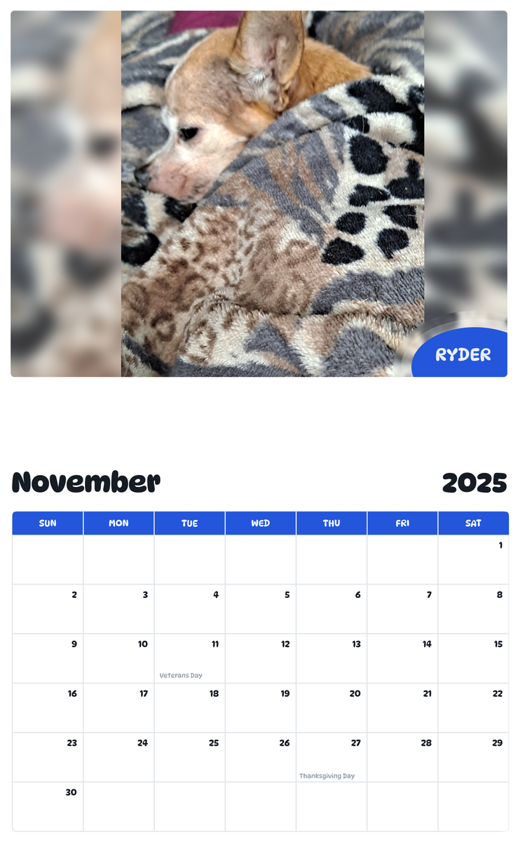 July 2025 - June 2026 Ryder - Pawidols Pet Calendar