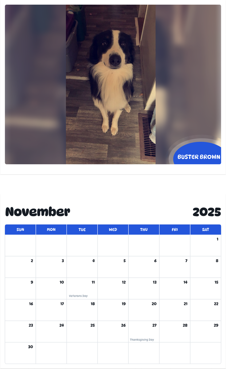 July 2025 - June 2026 Buster Brown - Pawidols Pet Calendar
